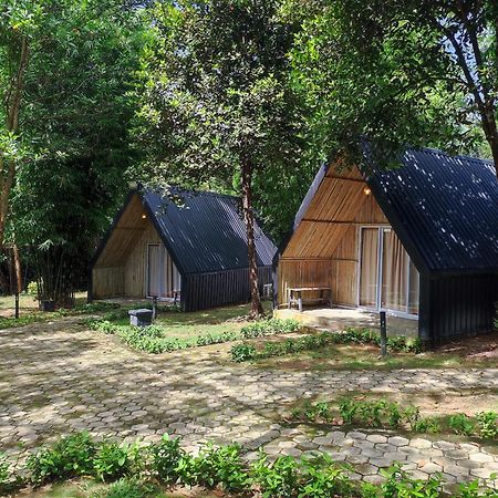 "D'Bamboo Kamp" Desa Wisata Ekang Lagoi Zewnętrze zdjęcie
